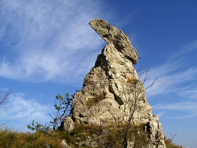 Klikni za ogled večje slike