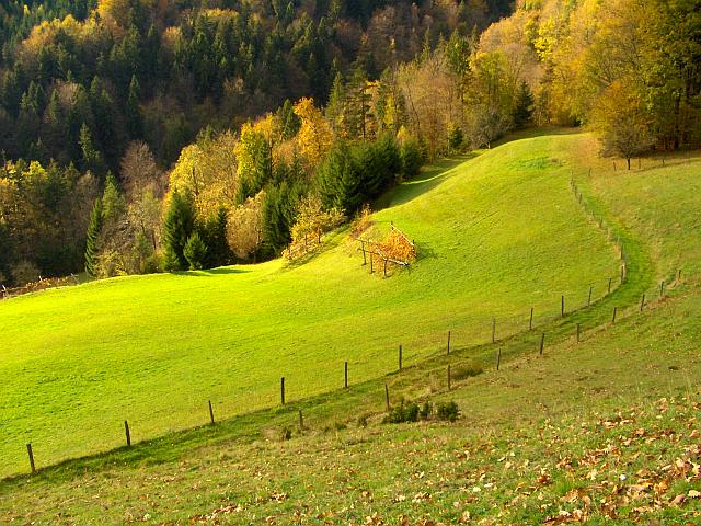 Klikni za ogled večje slike