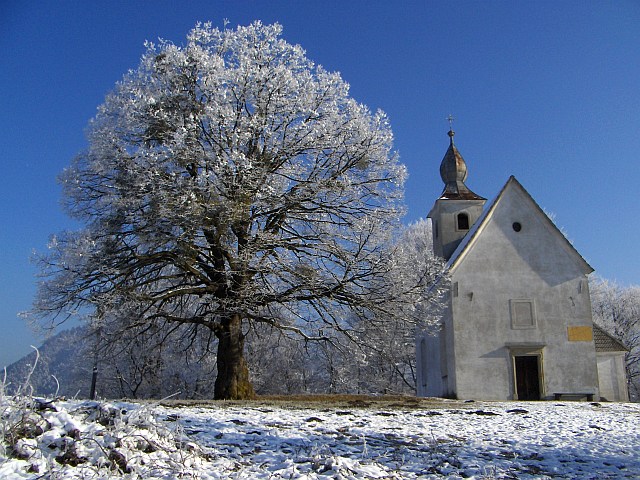 Klikni za ogled večje slike