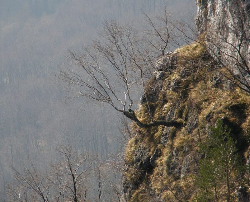 Klikni za ogled večje slike