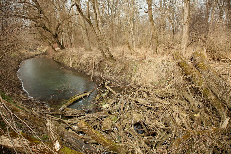 Klikni za ogled večje slike