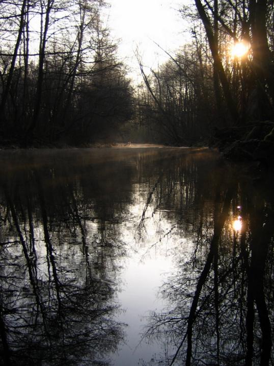 Klikni za ogled večje slike