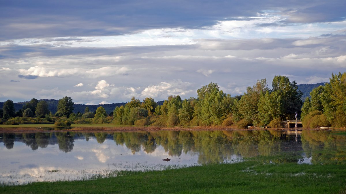 Klikni za ogled večje slike