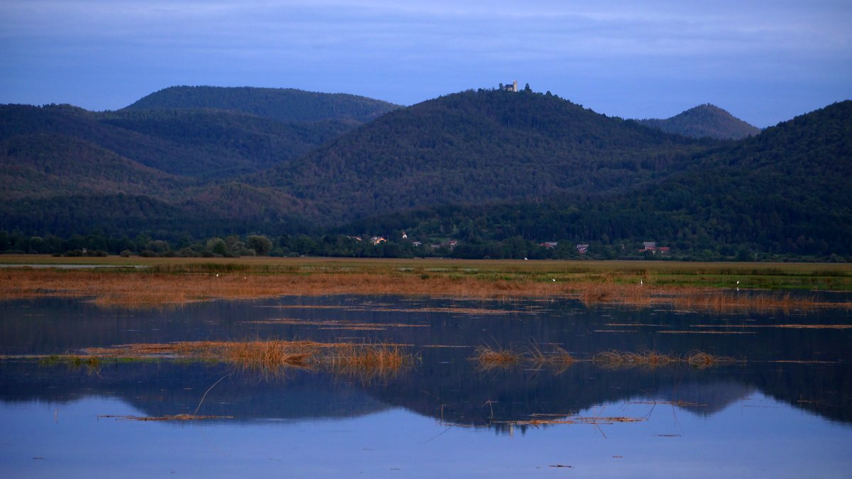 Klikni za ogled večje slike