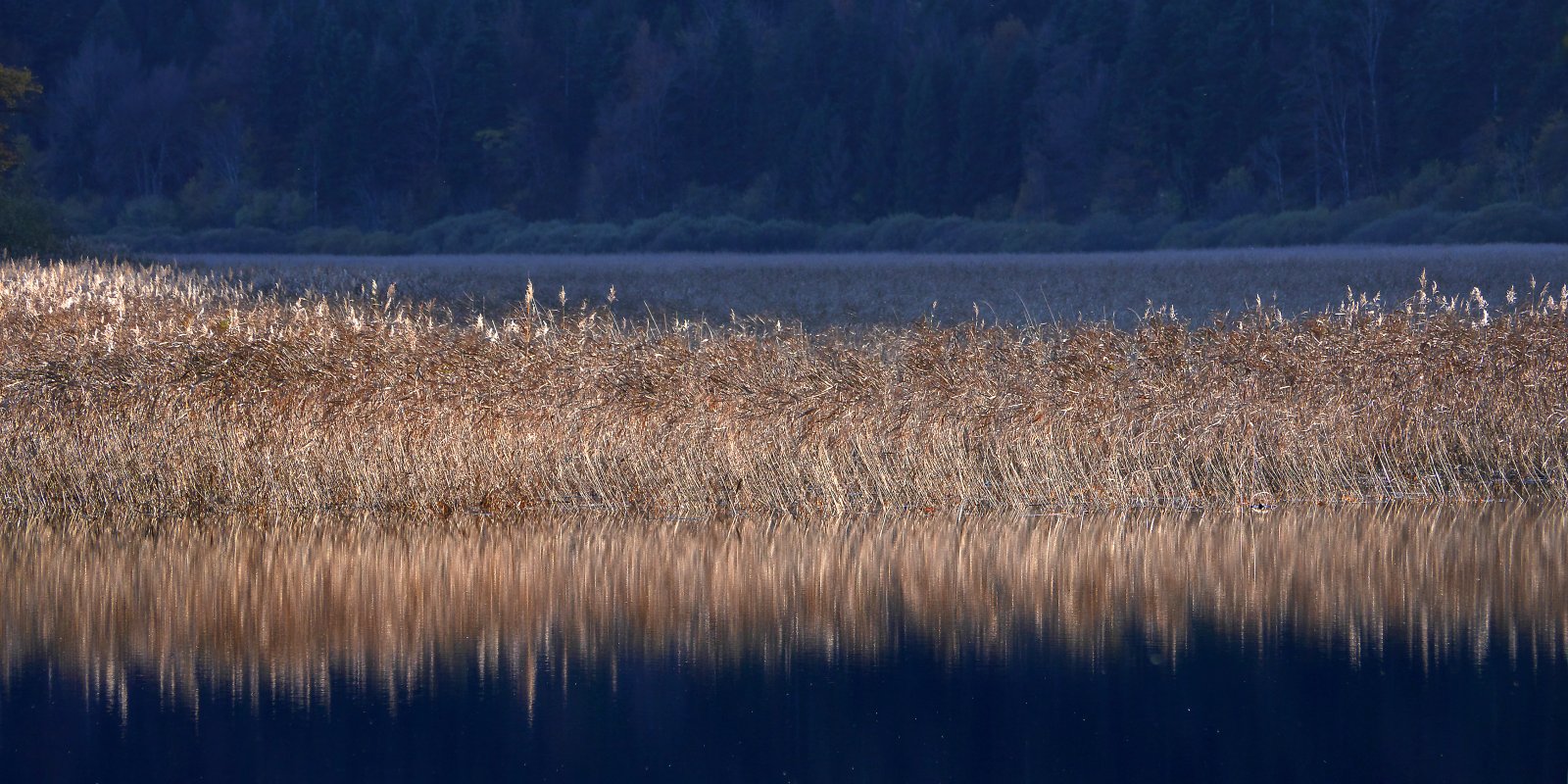 Klikni za ogled večje slike