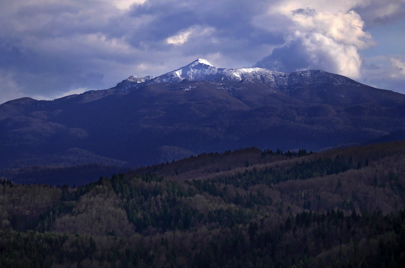 Klikni za ogled večje slike