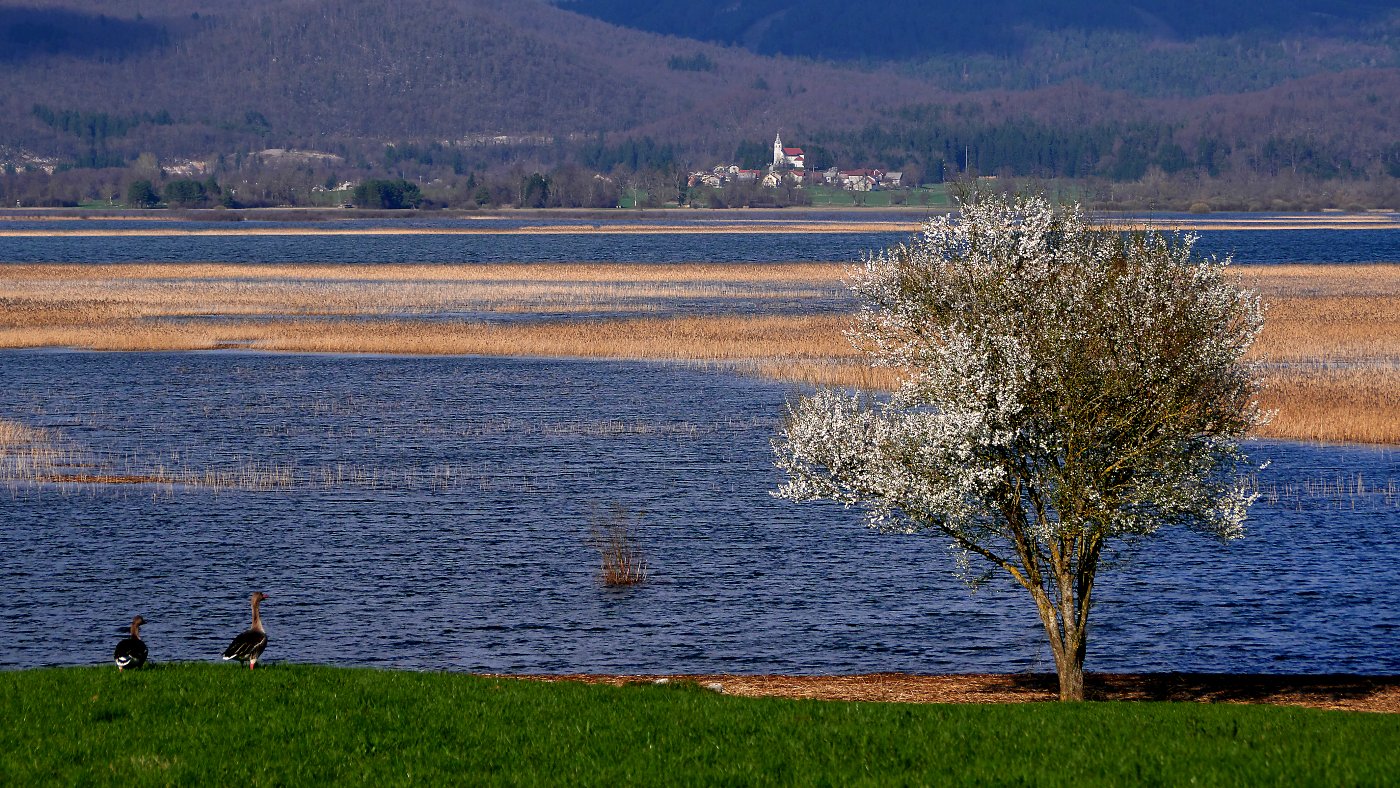 Klikni za ogled večje slike