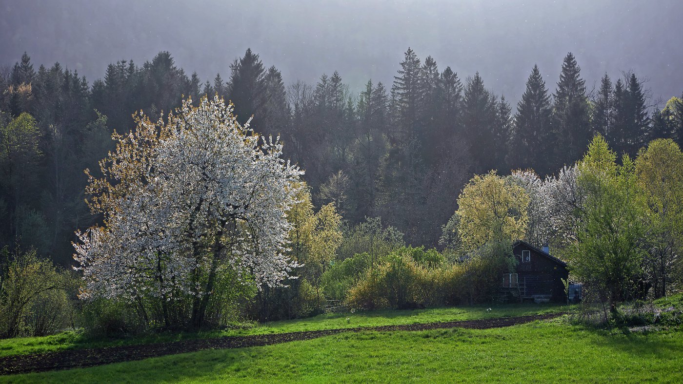Klikni za ogled večje slike