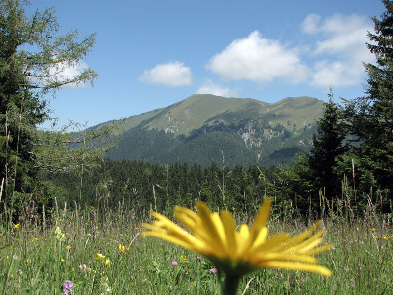 Klikni za ogled večje slike