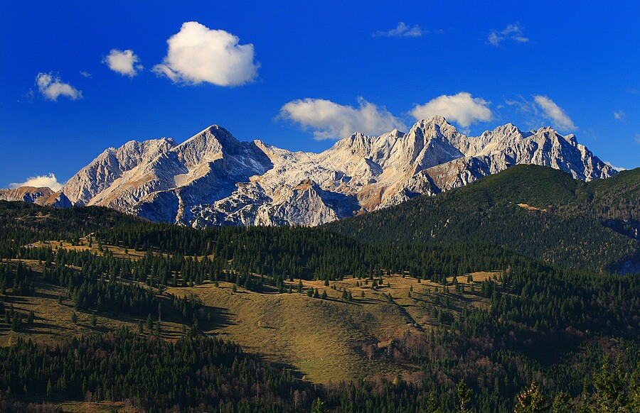 Klikni za ogled večje slike