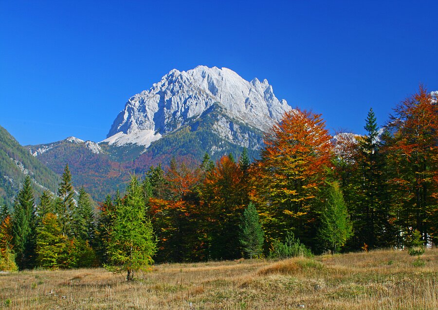 Klikni za ogled večje slike