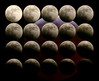 lunin mrk 800x655.jpg