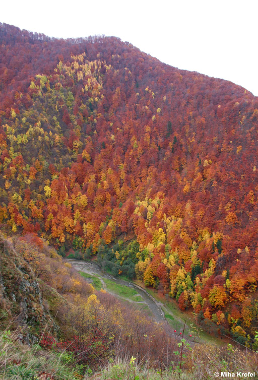 Klikni za ogled večje slike