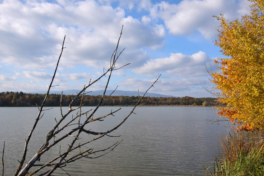 Klikni za ogled večje slike