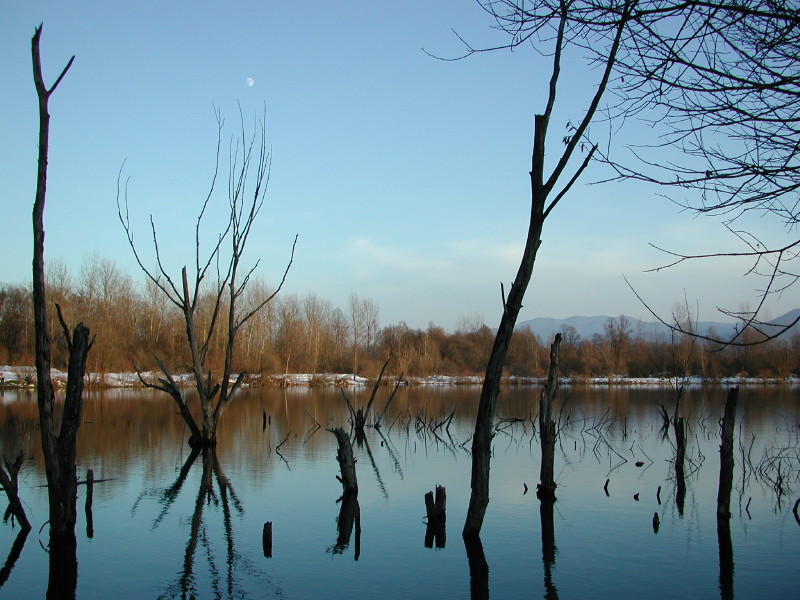 Klikni za ogled večje slike