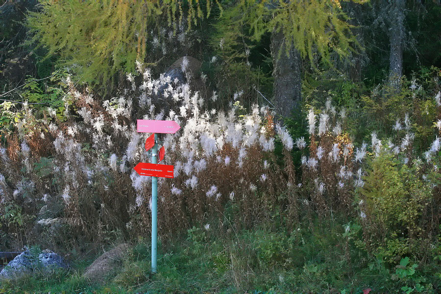 Klikni za ogled večje slike