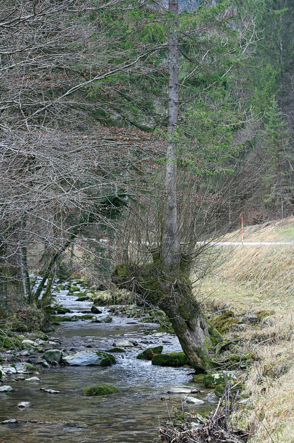 Klikni za ogled večje slike