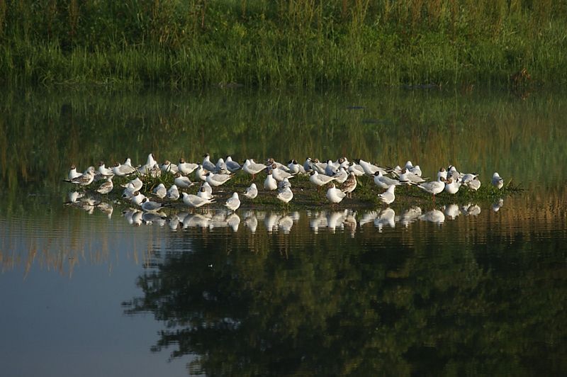 Klikni za ogled večje slike