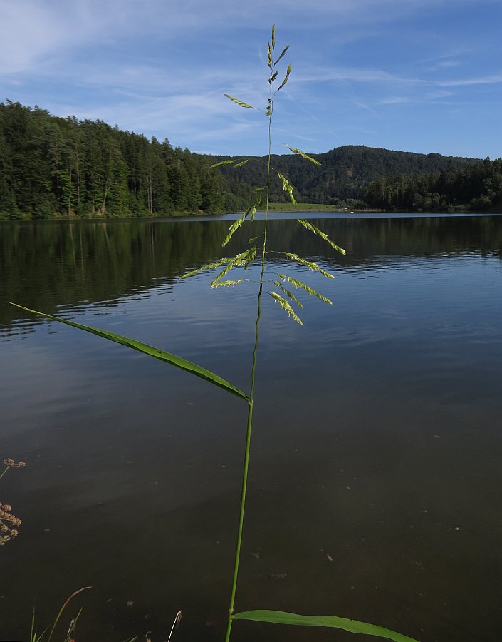 Klikni za ogled večje slike