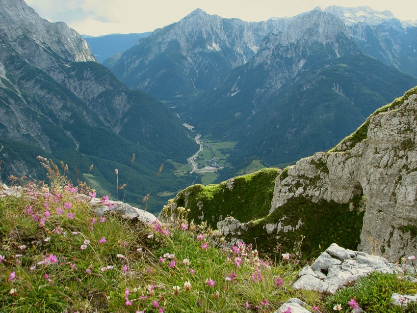 Klikni za ogled večje slike