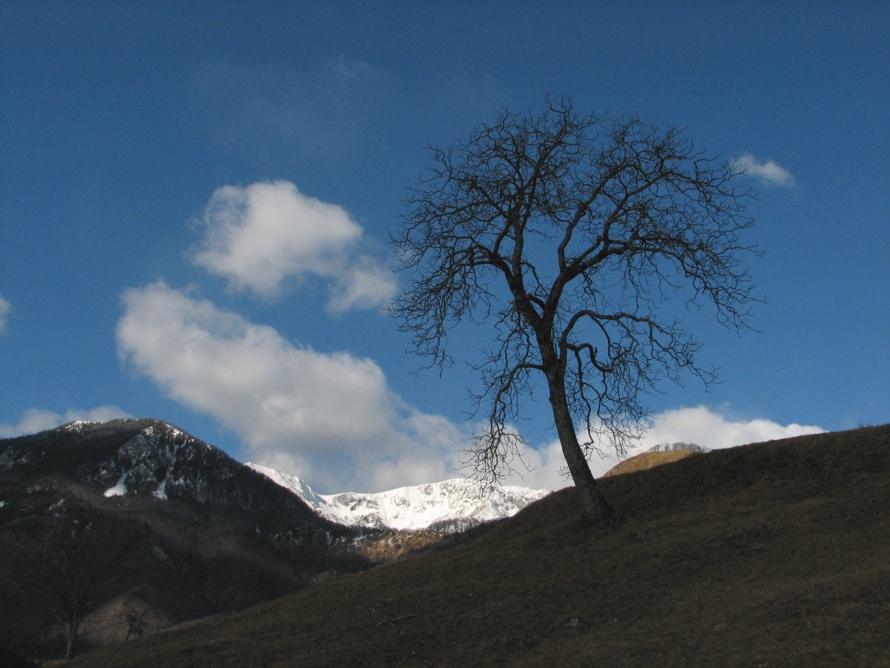 Klikni za ogled večje slike