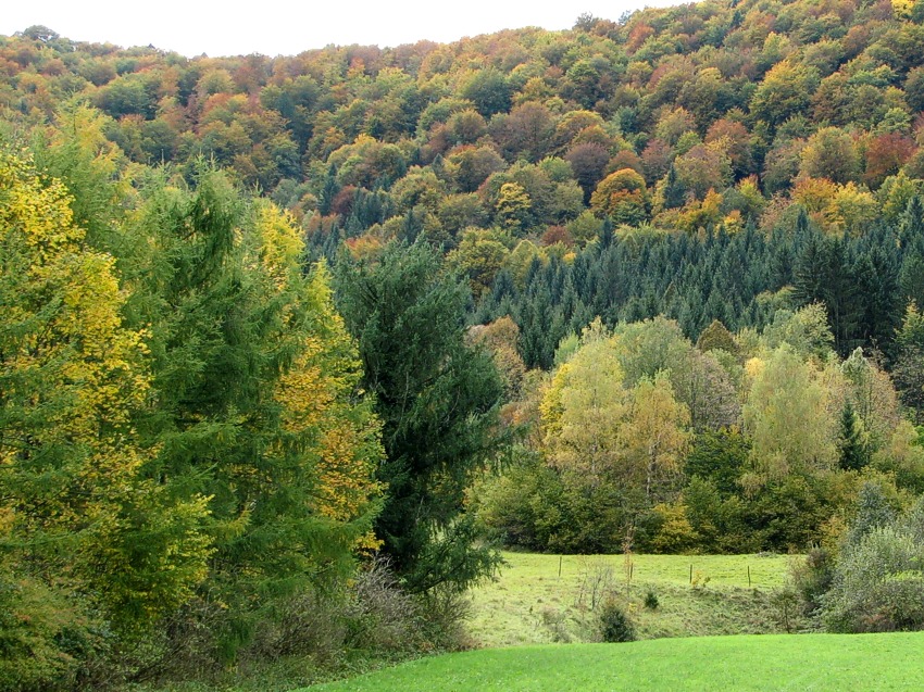 Klikni za ogled večje slike