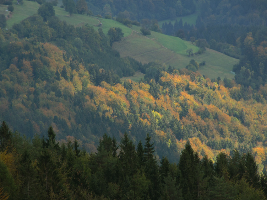 Klikni za ogled večje slike