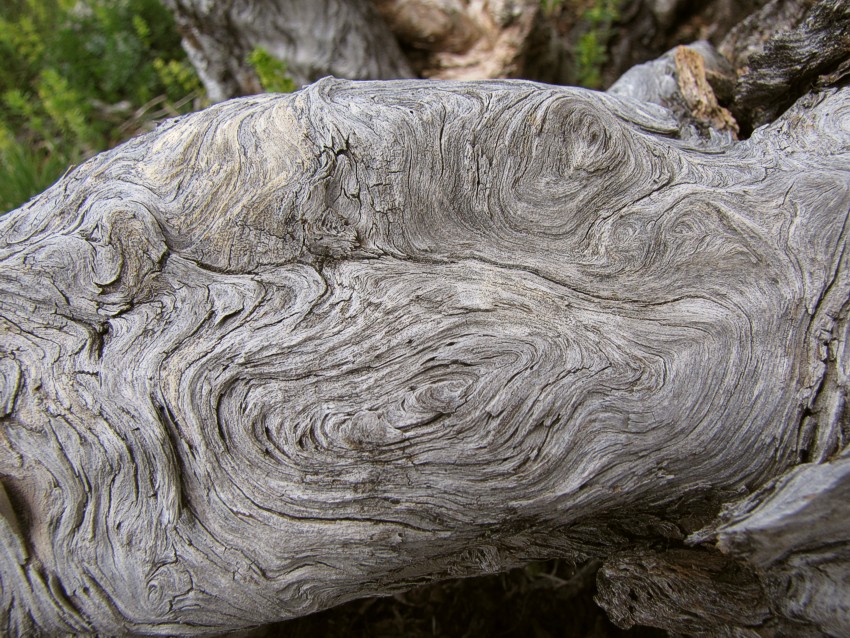 Klikni za ogled večje slike