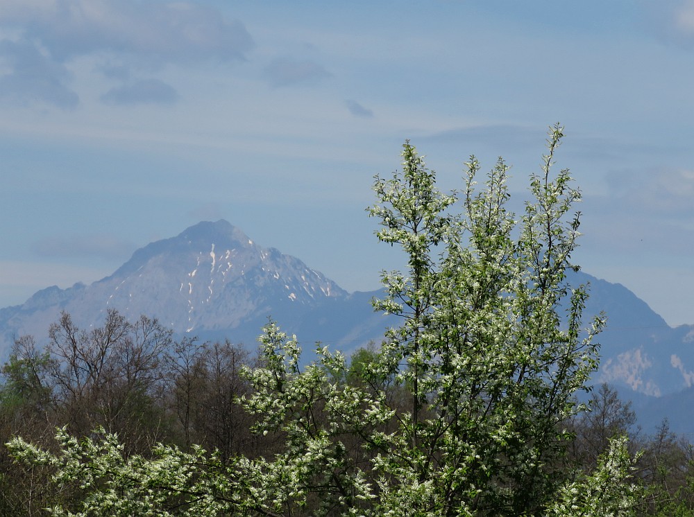 Klikni za ogled večje slike