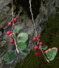 cotoneaster integerrimus1.jpg