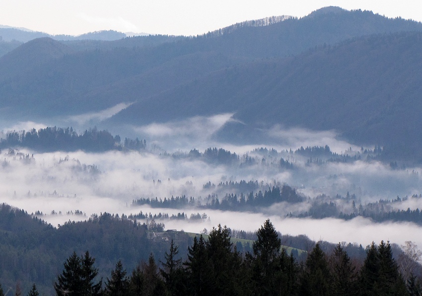 Klikni za ogled večje slike