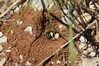 Ime datoteke: ceb2~0.jpg
Velikost datoteke: 411kB
Dimenzija: 1400x933
Datum objave: June 01, 2025 ceb2~0.jpg