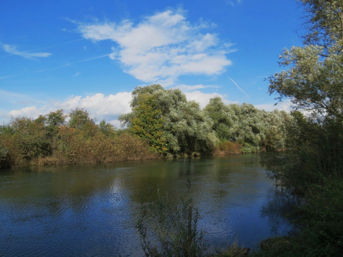 Klikni za ogled večje slike