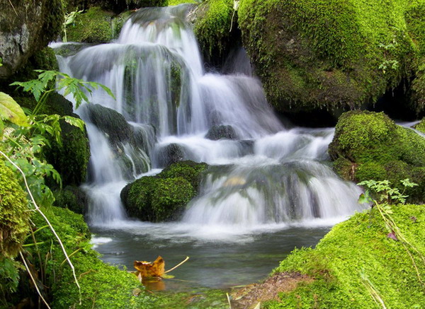 Klikni za ogled večje slike