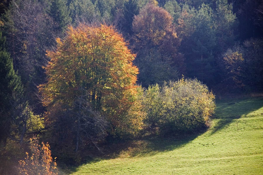 Klikni za ogled večje slike