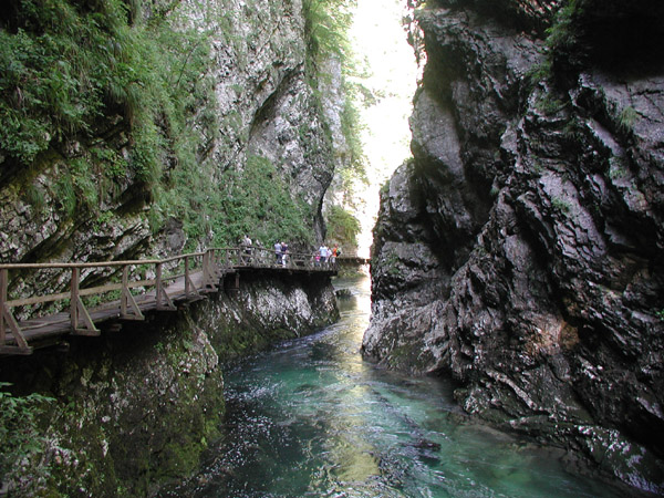 Klikni za ogled večje slike