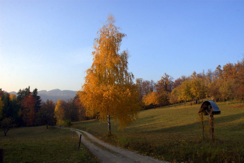 Klikni za ogled večje slike