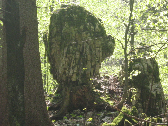 Klikni za ogled večje slike