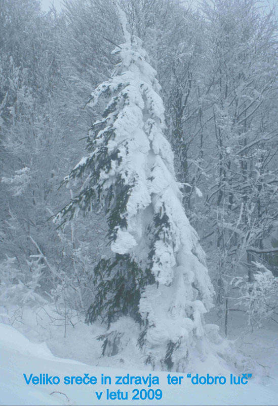 Klikni za ogled večje slike