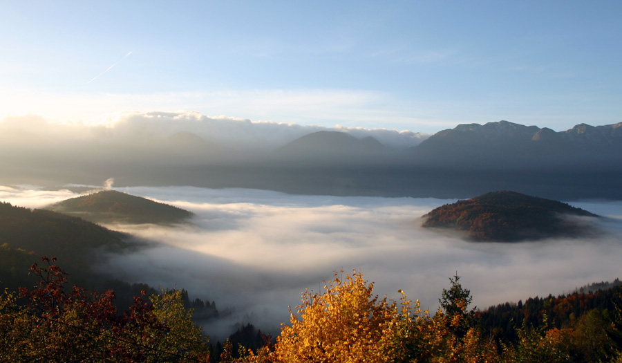 Klikni za ogled večje slike