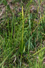 Ime datoteke: IMG_1790 34.jpg
Velikost datoteke: 352kB
Dimenzija: 600x900
Datum objave: June 27, 2025 IMG_1790 34.jpg