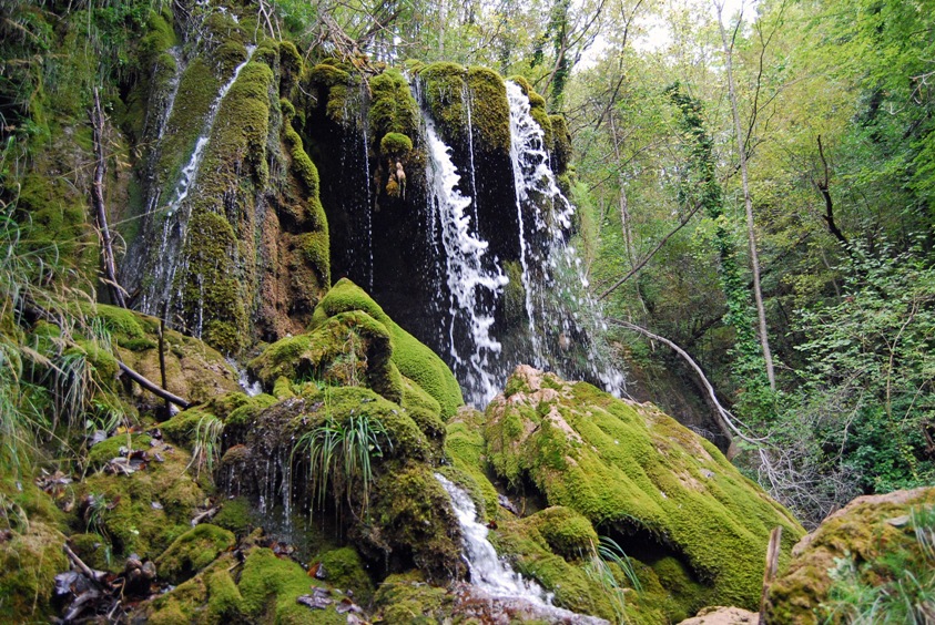 Klikni za ogled večje slike