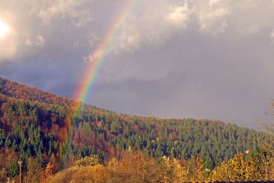 Klikni za ogled večje slike