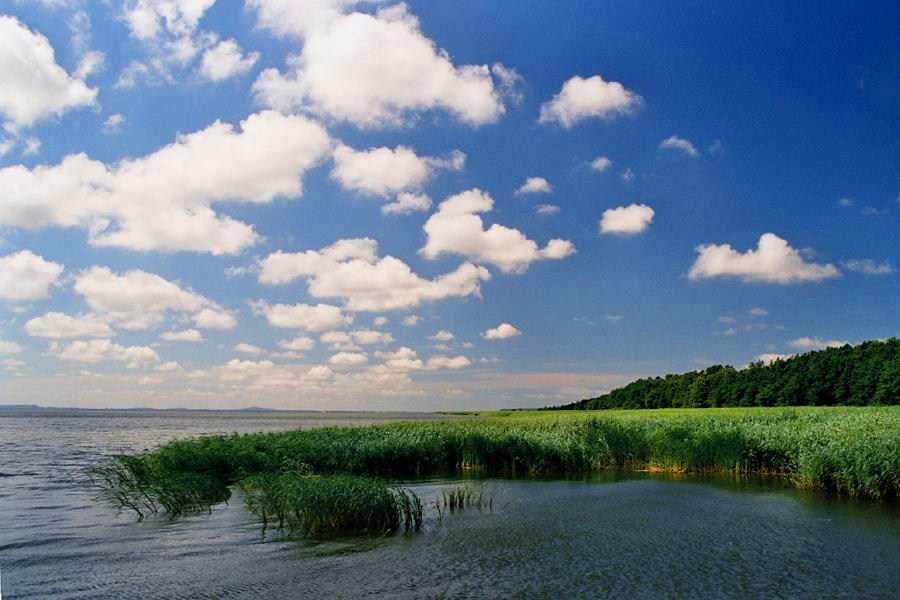 Klikni za ogled večje slike