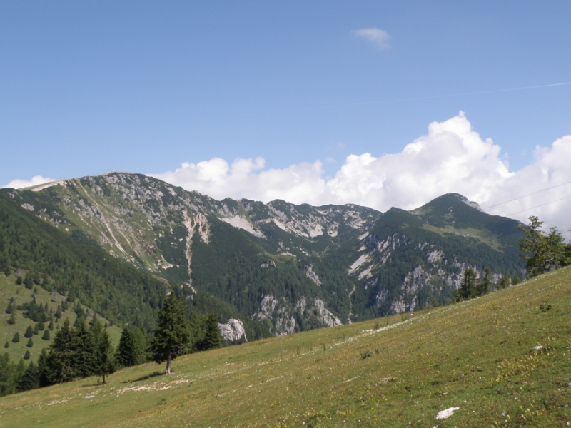 Klikni za ogled večje slike