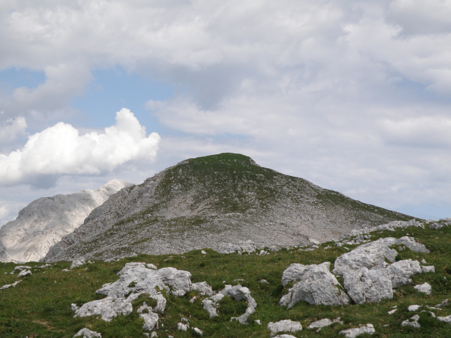 Klikni za ogled večje slike