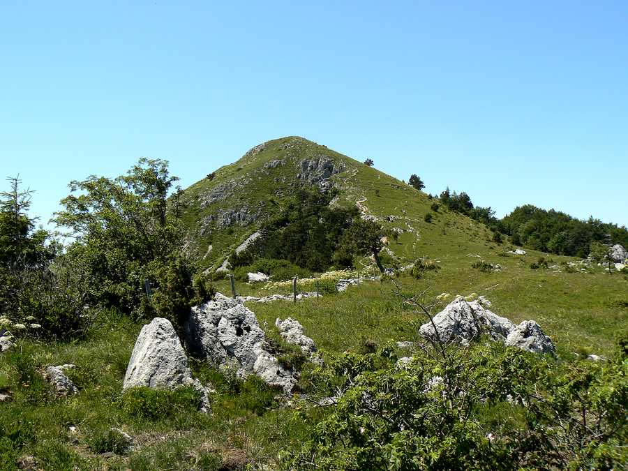 Klikni za ogled večje slike