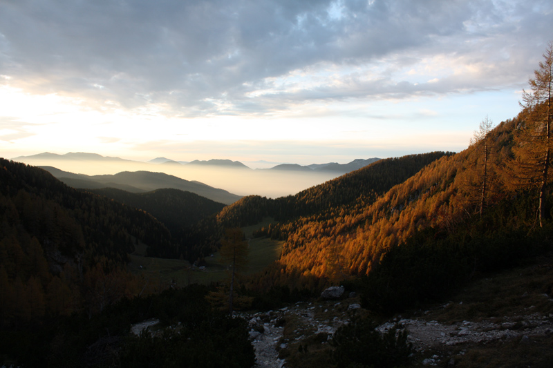 Klikni za ogled večje slike