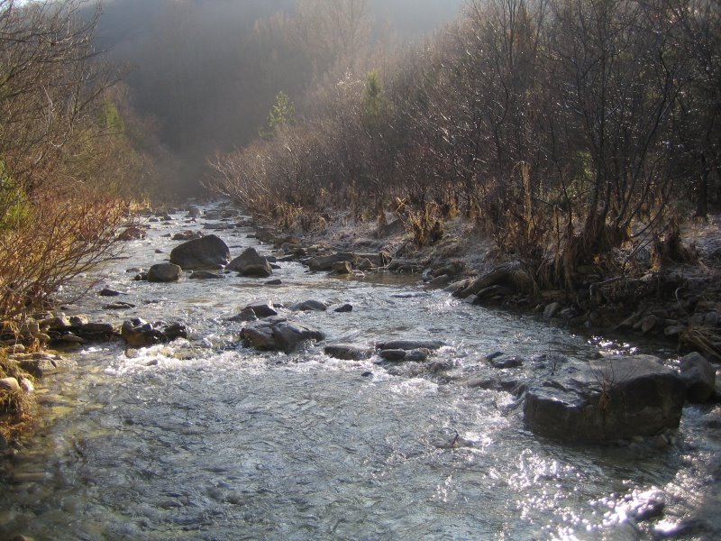 Klikni za ogled večje slike