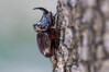 IMG_8110-2.jpg